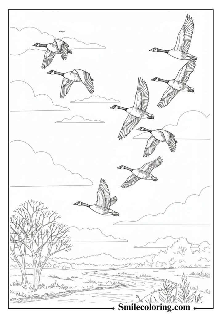 Migrating Geese