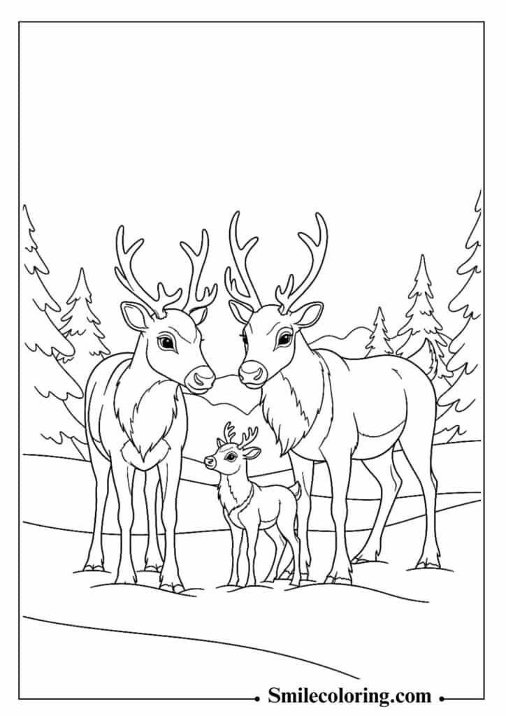 Reindeer Family in the Forest