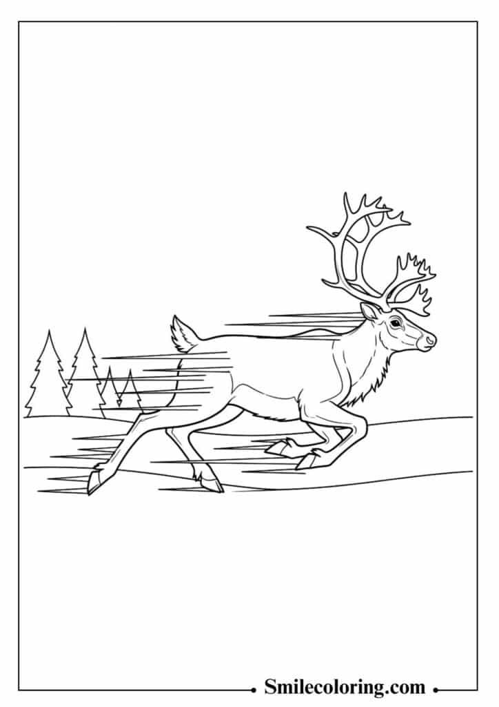Running Reindeer in the Snow