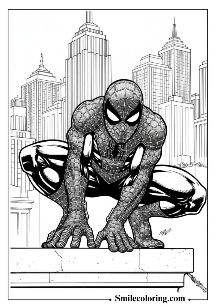 Spider-Man City Rooftop